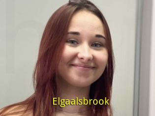 Elgaalsbrook