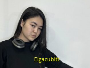 Elgacubitt