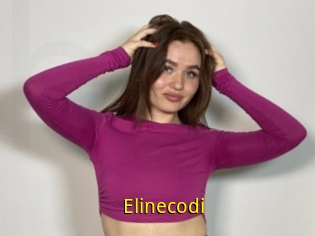 Elinecodi