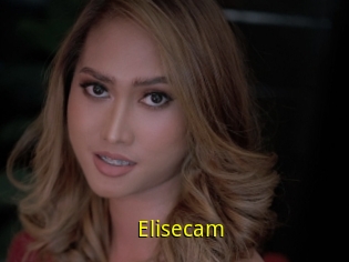 Elisecam