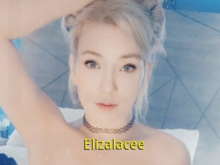 Elizalacee