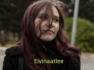 Elvinaatlee