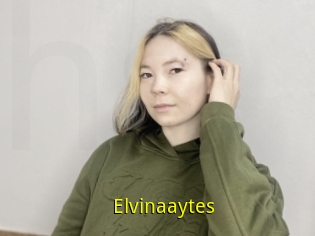 Elvinaaytes