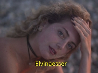 Elvinaesser