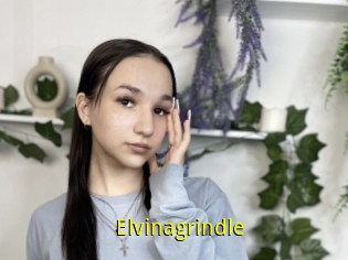 Elvinagrindle