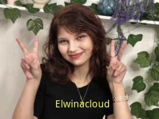 Elwinacloud