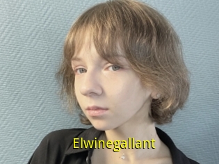 Elwinegallant