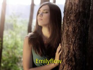 Emilyflow