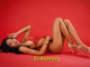 Erikalevvy