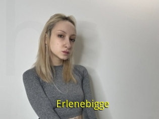 Erlenebigge