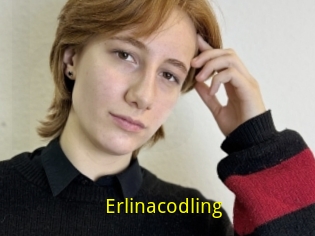 Erlinacodling