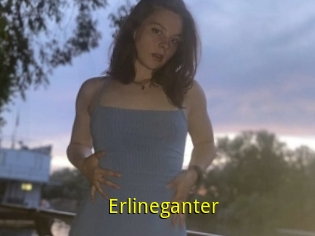 Erlineganter