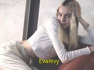 Evalevy