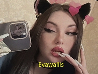 Evawallis