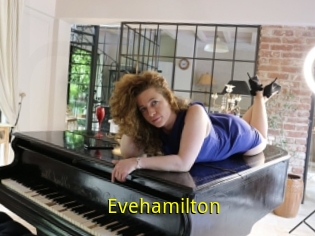 Evehamilton