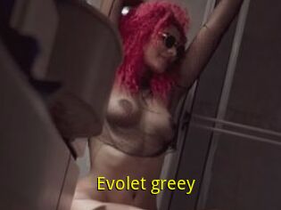 Evolet_greey