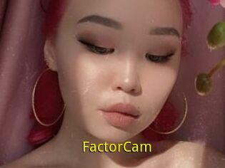 FactorCam