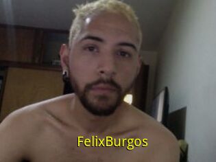 FelixBurgos