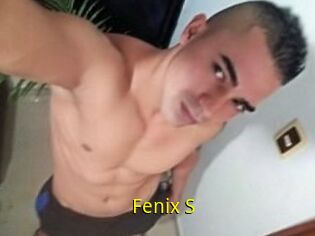 Fenix_S