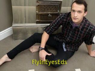 FlyInEyesEds