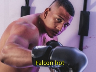 Falcon_hot