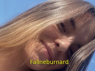 Falineburnard