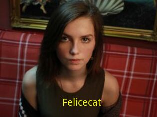 Felicecat