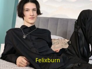 Felixburn