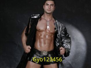 Gyo123456