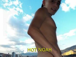 HOT_NOAH