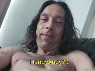 HandyAndy79