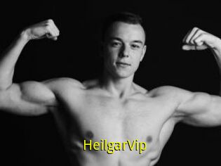 HeilgarVip