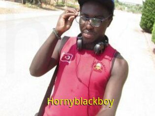 Hornyblackboy