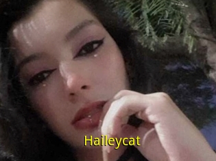 Haileycat