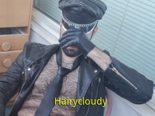 Hairycloudy