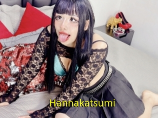 Hannakatsumi