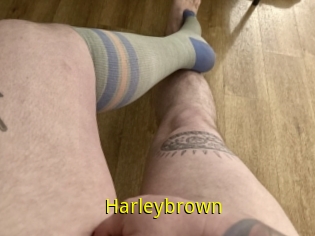 Harleybrown