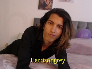 Harrisongrey