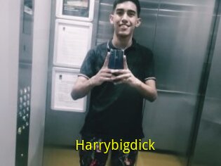 Harrybigdick