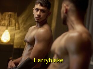 Harryblake