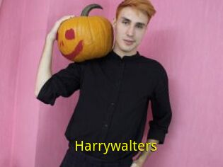 Harrywalters