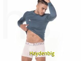 Haydenbig