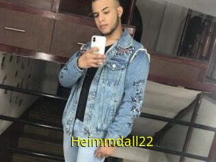 Heimmdall22