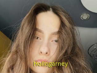 Hollisgarney