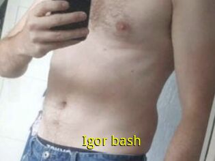 Igor_bash