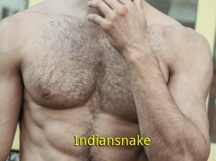 Indiansnake