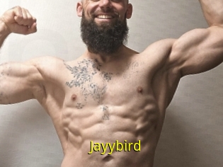 Jayybird