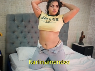 Kariinamendez