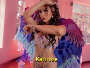 Kattrose