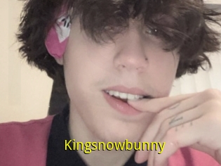 Kingsnowbunny